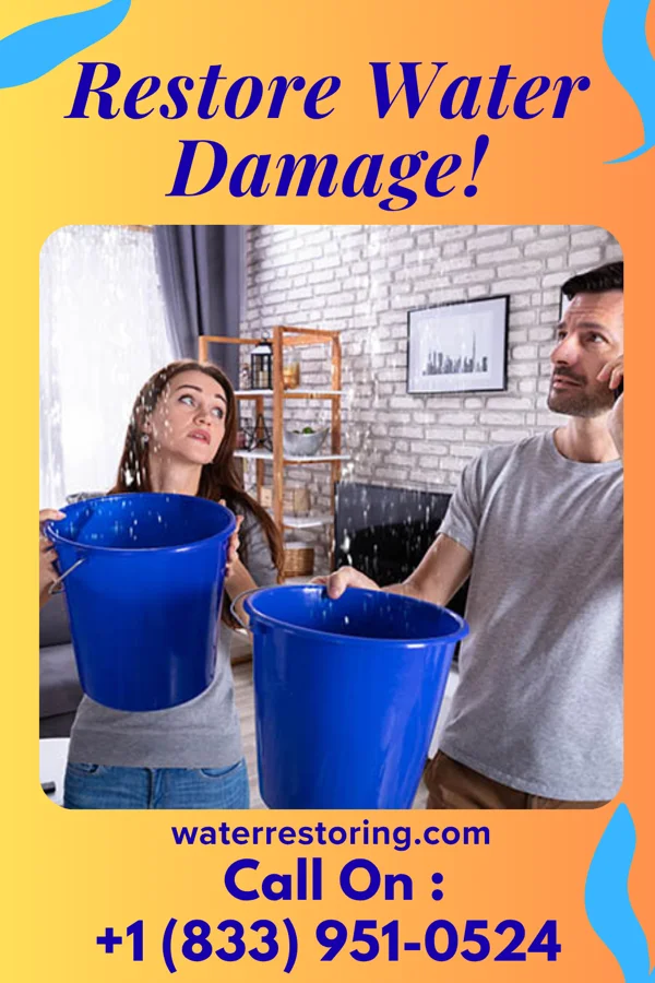 water restoration Pro Emergency Restoration Experts Hamilton
