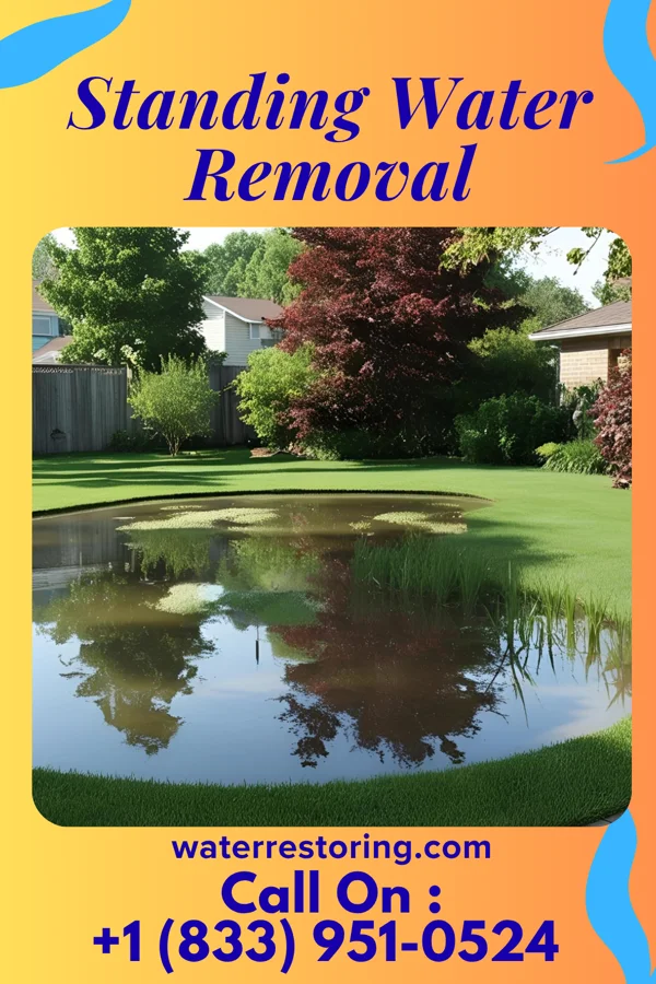 Standing Water Removal in Hamilton, IL